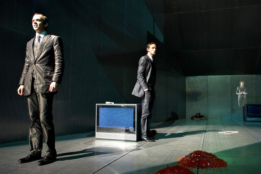 Die Unschuld der Raubvögel